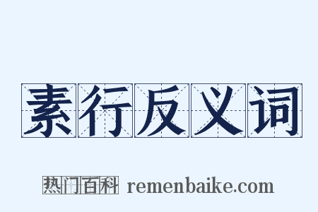 素行反义词是什么意思的图片